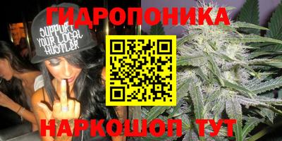 амф Будённовск